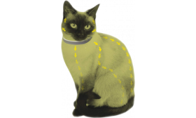 Collar Natural anti Pulgas y Garrapatas para Gatos