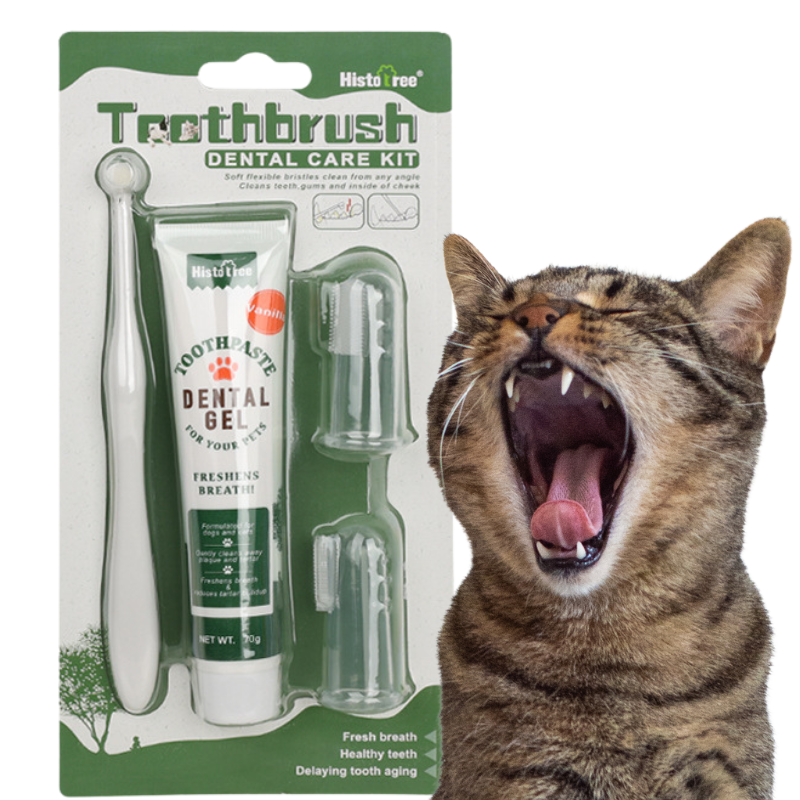 Set Completo para el Cuidado Bucal del Gato: cepillo de dientes, 2 cepillos de dedos y pasta de dientes de vainilla Set Completo para el Cuidado Bucal del Gato: cepillo de dientes, 2 cepillos de dedos y pasta de dientes de vainilla