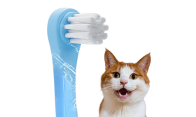Cepillo Dental Suave para Gatos con Cerdas de Nylon