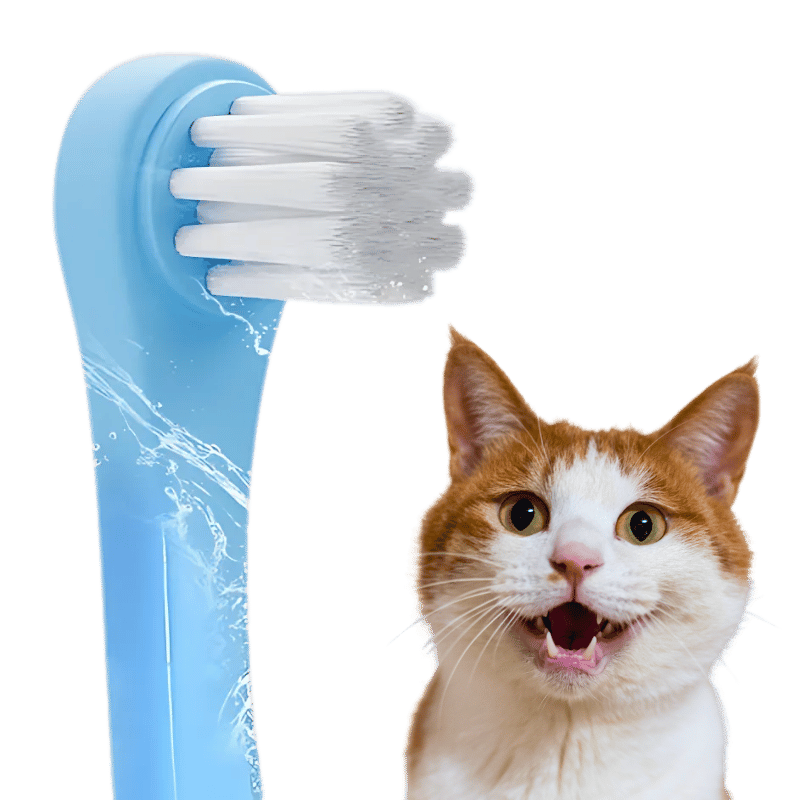 Cepillo Dental Suave para Gatos con Cerdas de Nylon Cepillo Dental Suave para Gatos con Cerdas de Nylon