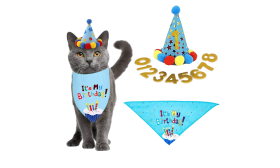 Kit de Bandana de Cumpleaños para Gato